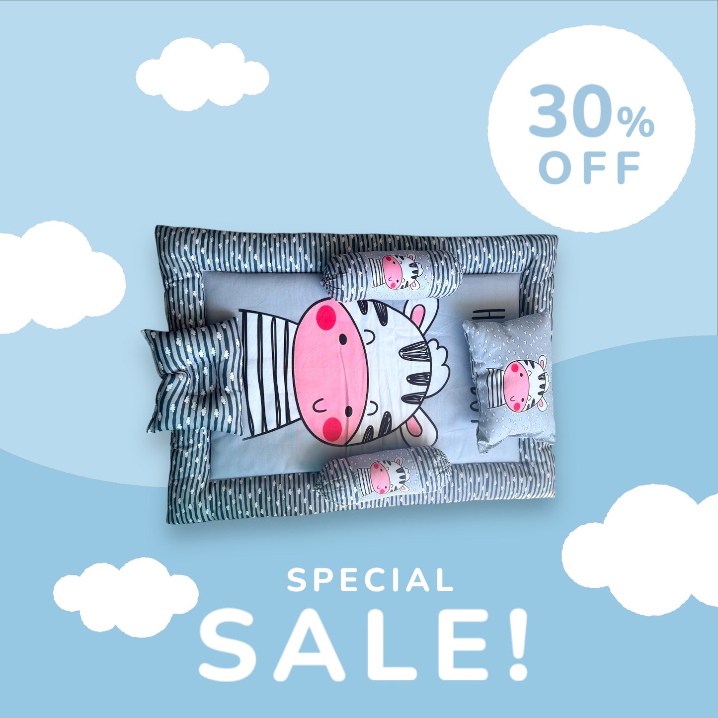 Mattress with Net | Baby Sleeping Bag | Carry Bed (0-6 Months) (Moon Blue (N,S))