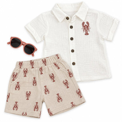 Bearbaby Navy Classic Baby Shirt & Shorts Set | 12M-24M --4